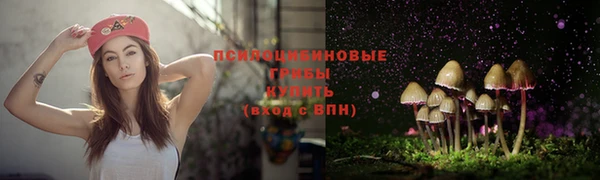 таблы Армянск