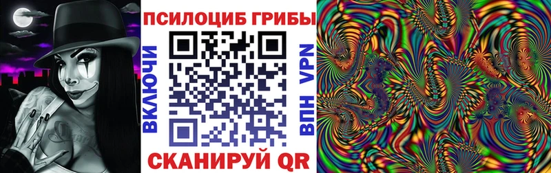 Псилоцибиновые грибы GOLDEN TEACHER  blacksprut ссылка  Калтан 